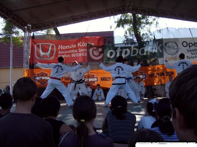 falunap 003.jpg