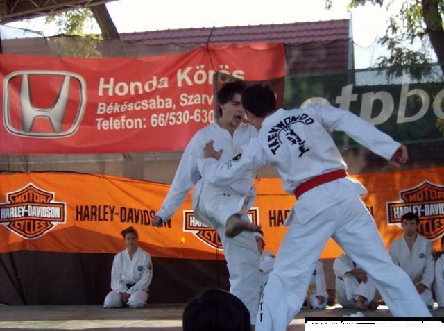 falunap 004.jpg