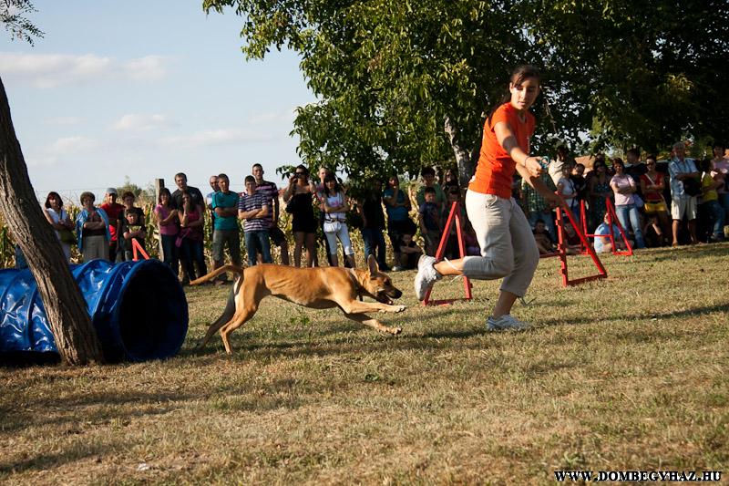20110910-162424.jpg
