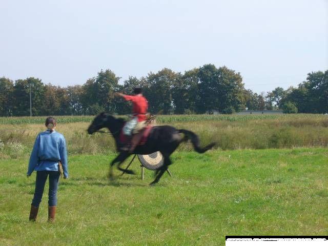 falunap06_009.jpg