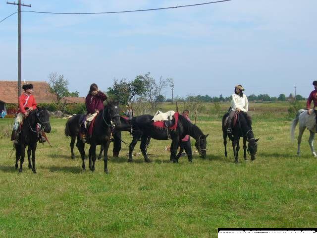 falunap06_021.jpg